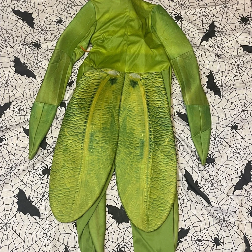 Praying mantis costume